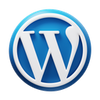 wordpress-website-development